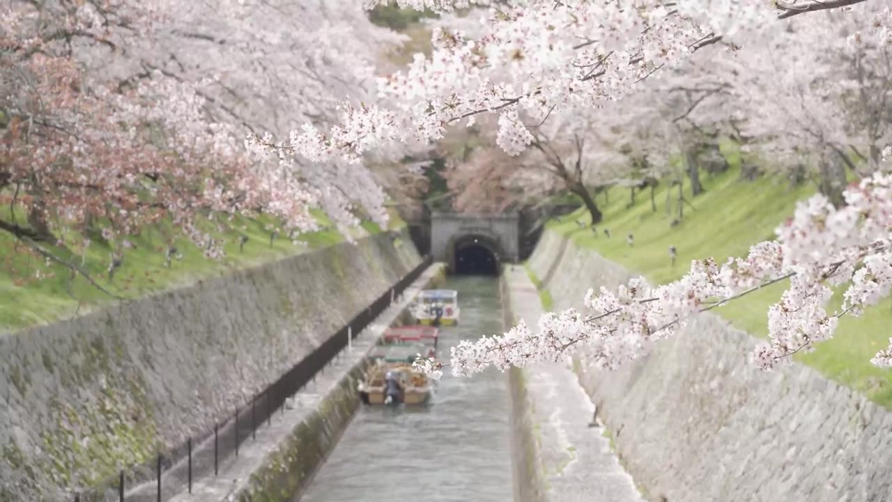 江戸時代の堀・近江八幡（滋賀）