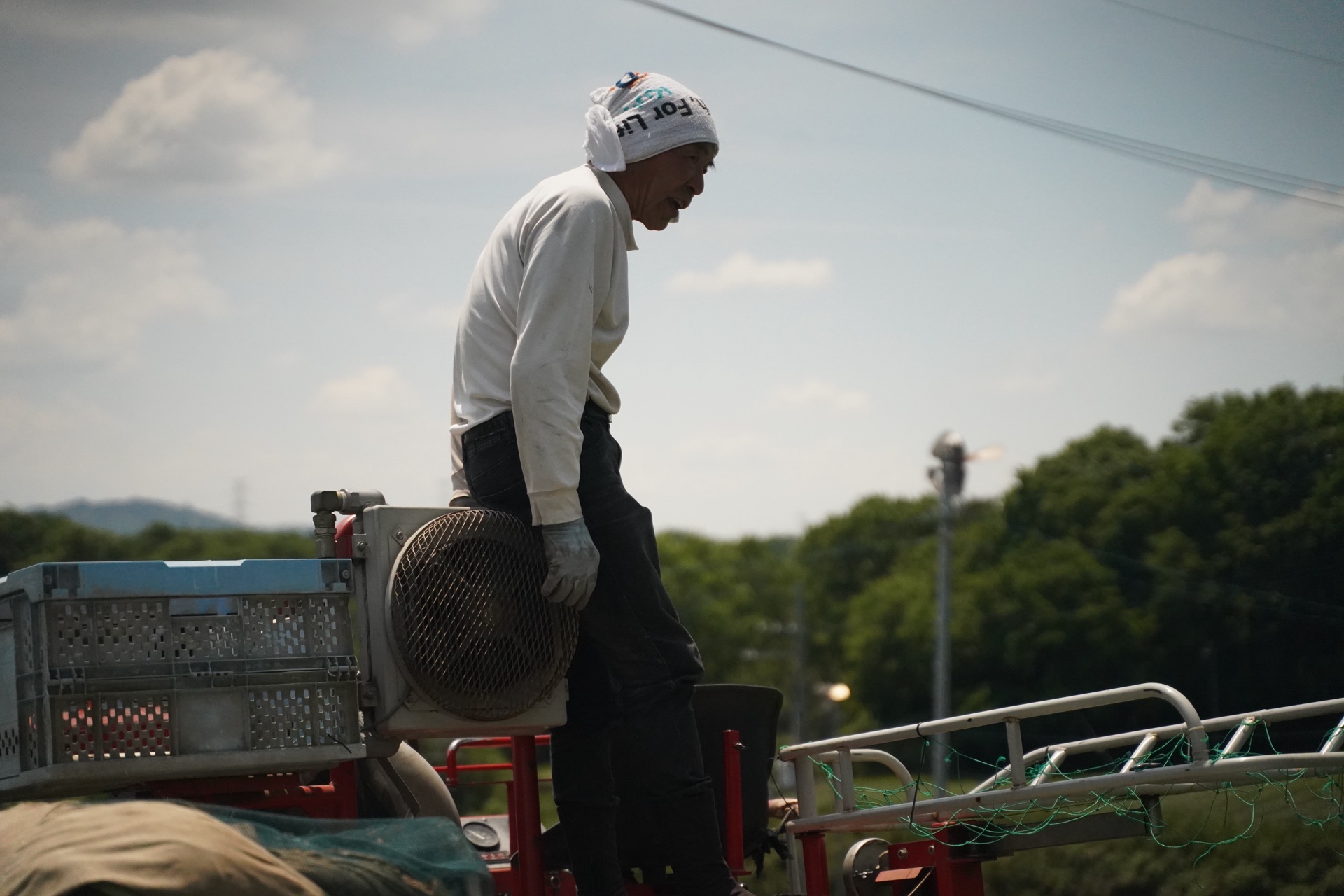 Kida Mitsuo, the last working Kitayama tea farmer, at his Hino tea fields, Shiga